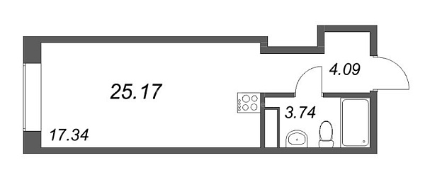Студия в новостройке, 25 кв.м., Петроградский район, Ремесленная ул.